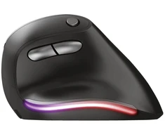 Pelė Trust Computer Products Trust Bayo, dešinei rankai, Optinė, RF belaidė, 2400 DPI, Juodas