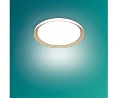 Philips Itin efektyvus lubų šviestuvas 10W 2700K baltas dvigubo ryškumo