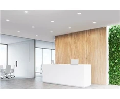 PHILIPS CoreLine įmontuojamas šviestuvas DN142B 1000lm/840 Ø150 10W Baltas su aliuminio atšvaitu DALI