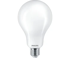 Philips LED klasikinė lemputė 200 W A95 E27 3452 lm 23 W, matinė vėsiai balta