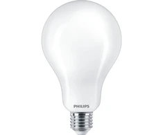 Philips LED klasikinė lemputė 200 W A95 E27 3452 lm 23 W, matinė vėsiai balta