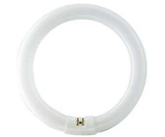 Philips Master TL-E Circular Super 80 G10q 32W 2375lm 3000K liuminescencinė lempa (8711500559685)