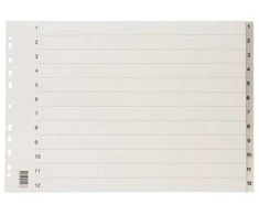 Plast Petter Ab Registravimo lentelė plastikinėje dėžutėje, 1-12, A3, plastikinė