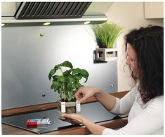 tesa® Powerstrips didelės – po 10 vnt.
