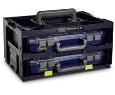 raaco CarryMore 55x2 laikymo ir transportavimo vienetas + 2 CarryLite 55 4x8-16