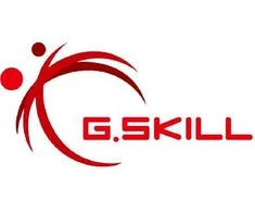 RAM 32GB G.Skill DIMM 6000 (2x 16 GB) Dual-Kit (juodas, F5-6000J3038F16GH2-FX5, Flare X5)