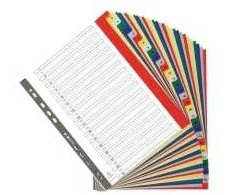 Registravimo kasa, Exacompta, plastikinė, A4+, 1-31