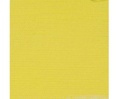 Artequipment Rembrandt Acrylic Colour Tube Cadmium Geltona Lemon 207