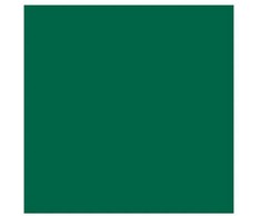 Artequipment TALENS REMBRANDT 40ML 616 - VIRIDIAN - farba olejna uniw