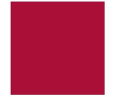 Artequipment TALENS REMBRANDT 40ML 318 - CARMINE - farba olejna uniw