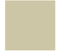 Artequipment Rembrandt Oil Colour Tube Sidabrinis 800