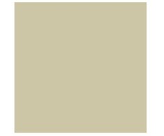 Artequipment Rembrandt Oil Colour Tube Sidabrinis 800