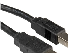 ROLINE USB 2.0 kabelis, A-B tipo 3 m, 3 m, USB A, USB B, USB 2.0, kištukas/kištukas, juodas