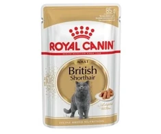 Royal Canin britų trumpaplaukė 12x85g