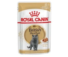 Royal Canin britų trumpaplaukė 12x85g