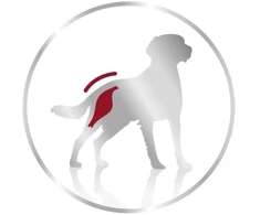 Royal Canin Įvairaus amžiaus vidutinių veislių šunų konservuotas pašaras - 12x410 g