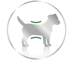 Royal Canin Mini Adult Loaf šlapias Maistas šunims - 12x195g