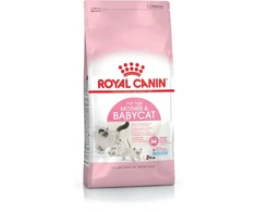 Royal Canin Katei ir kačiukui, suaugusiai katei, bet kokios veislės, paukštiena, 4kg, su antioksidantais