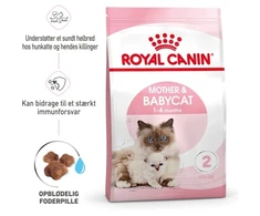 Royal Canin Sausas maistas katėms ir kačiukams - 10 kg