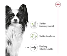 Royal Canin X-Small vyresniems nei 12 metų šunų sausas maistas - 1.5kg