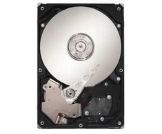 Seagate DB35 serijos DB35 7200.3 250 GB SATA 3 Gb/s, 250 GB, 7200 aps./min., 8 MB, 3,5 colio, serijinis ATA II