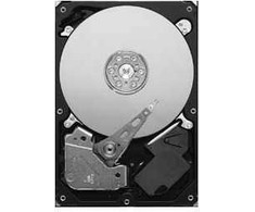 Serverio diskas Seagate Seagate vamzdynas HD ST3320311CS - 320G