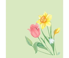Servetėlės Bio Dunisoft Spring Melody I 40xP 40 cm, žiedynų formos, 60 vnt./pak.