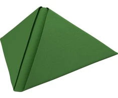 Duni Serwetki Dunilin Herbal žalias 40x40cm 50stk/pak (50 stk.)