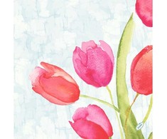 Servetėlės Bio Duniminkštos 40x40 cm Dažytos tulpės, 60 vnt./pak.