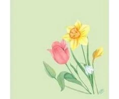Servetėlės Bio Dunisoft Spring Melody I 40xP 40 cm, žiedynų formos, 60 vnt./pak.