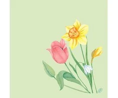 Servetėlės Bio Dunisoft Spring Melody I 40xP 40 cm, žiedynų formos, 60 vnt./pak.