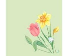 Servetėlės Bio Dunisoft Spring Melody 40x40cm Floret, 6 pakuotės x 60 vnt./kartone