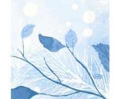 Duni servetėlės 24x24 cm 3 sluoksnių 1/4 lankstymo Frosted Winter, 20 pakuočių x 50 vnt./kartonas