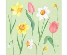 Duni Servietten 3-lagig Spring Melody, Stačiakampė, Kreminė, Staltiesė, Gėlių raštas, Vidui, Vokietija