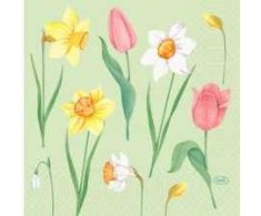 Servetėlės Duni Spring Melody 33x33 cm 3 sluoksnių Floret, 10 pakelių x 50 vnt./kartoninėje dėžėje