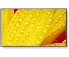 Monitorius NEC „MultiSync M651-2“, terminalo dizainas, 165,1 cm (65"), LED, 3840 x 2160 pikselių