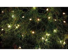 Lampki choinkowe Sirius Sirius Knirke 160L, Clear/žalias