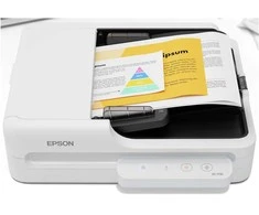 Skeneris Epson „WorkForce DS-1730“, 215,9 x 297 mm, 1200 x 1200 DPI, 30 bitų, 24 bitų, 10 bitų, 8 bitų