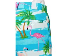 Vasarinis OppoSuit Flaminguy kostiumas