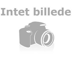 Sony Kintamosios srovės adapteris (100 W) - acdp-100D01