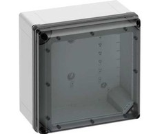 SPELSBERG Kasse Geos-L 3030-18-TO, 300 x 300 x 180 mm, permatoma