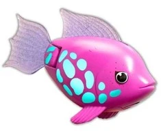 Swims Plaukimai – Rainbow Reef Fish – Rainbow Fish (6072523)