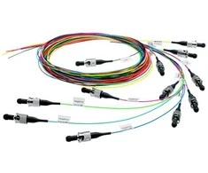Telegärtner 100011719, 2 m, OS2, 12x LC