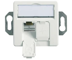 Telegärtner 100022957, 2 x RJ-45, 6a, Balta, Cinkas, 1 vnt.