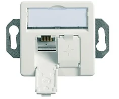 Telegärtner 100022957, 2 x RJ-45, 6a, Balta, Cinkas, 1 vnt.