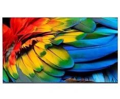 Televizorius Philips 58HFL6214U/12 LED 58'' 4K Ultra HD Android