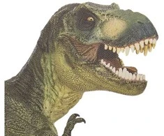 Thumbs Up Nykštys aukštyn Nykštys aukštyn! Pakeltas langas „T-Rex“