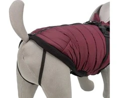 Trixie Pirou žieminė striukė su petnešom, S: 40 cm, t.raudona