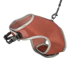 Trixie minkštos petnešos katėms, su pavadėliu, 24–42 cm, 1,20 m, rūdžių spalvos
