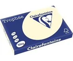 Trophee Papier Trophee A3/120g smėlio (250)